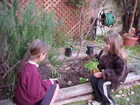 The Kids Program
