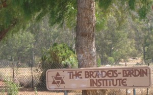 bbi-sign